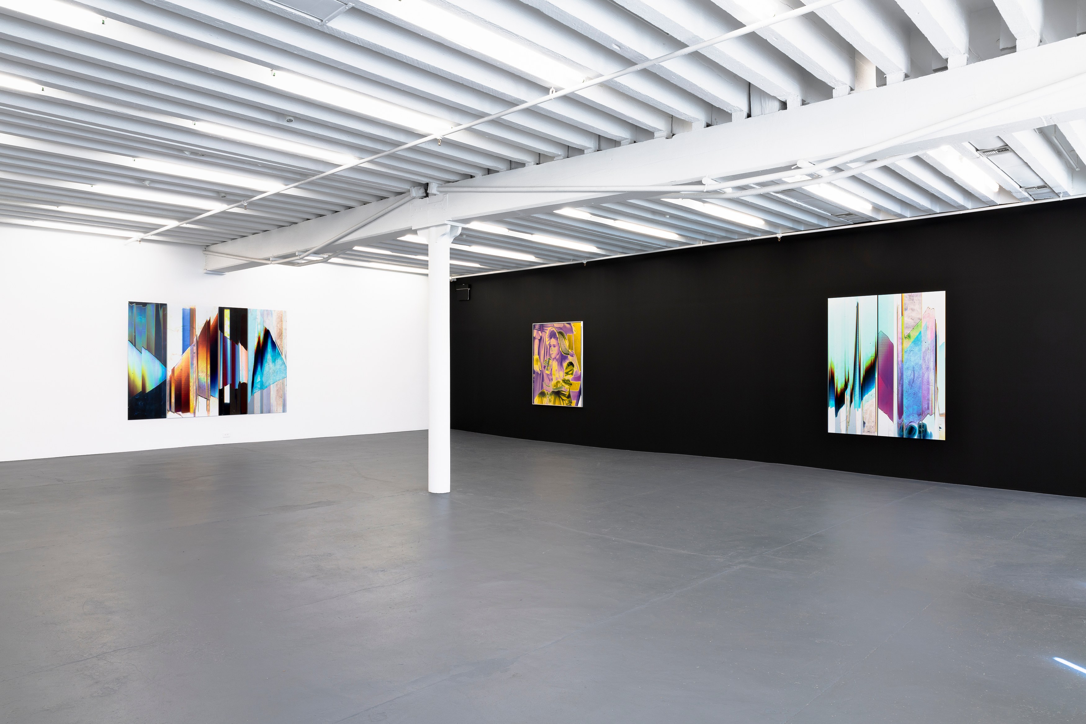 Eileen Quinlan, Dawn Goes Down at Miguel Abreu, New York (88 Eldridge Street, 36 Orchard Street), photo 7