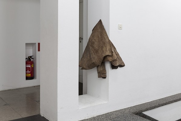 Image 11 of 12