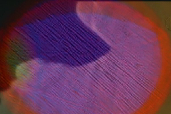 Image 8 of 10