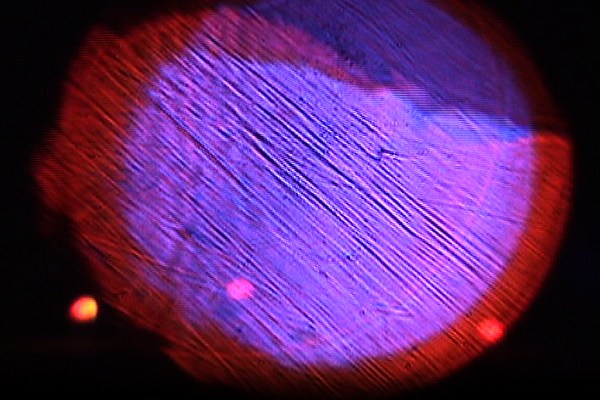 Image 7 of 10