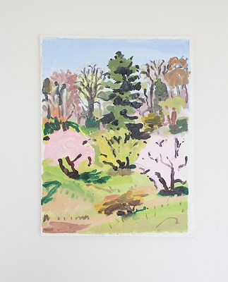 Image 8 of 15