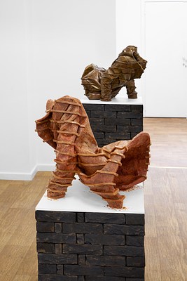Image 3 of 21