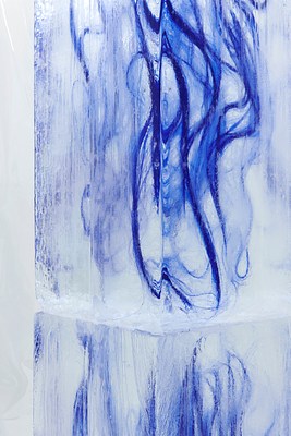 Image 5 of 45