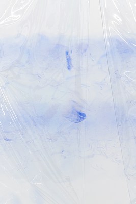Image 25 of 45
