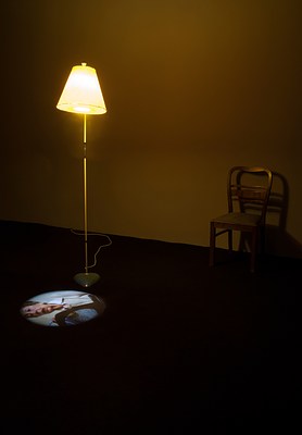 Image 5 of 14