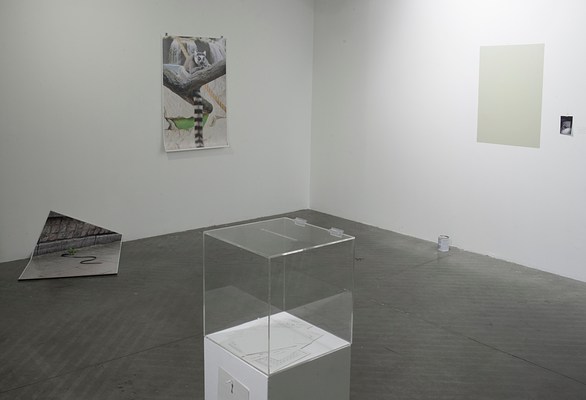 Image 11 of 25
