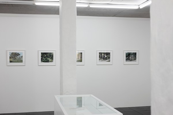Image 3 of 50