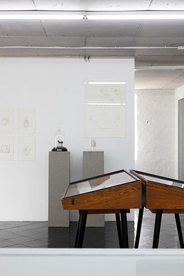 Image 2 of 50