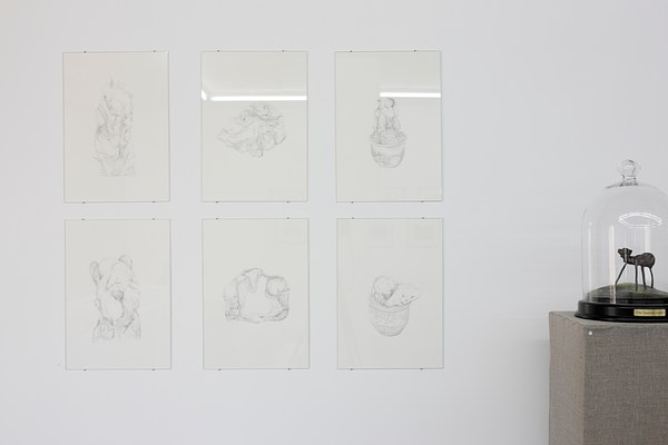 Image 11 of 50