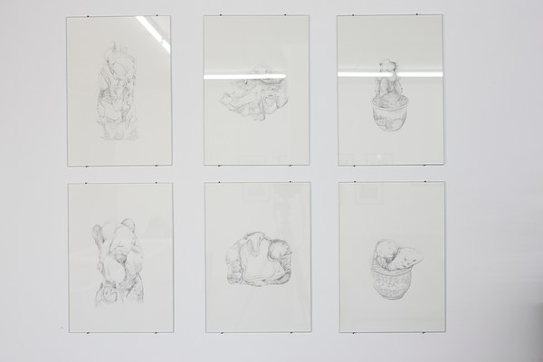 Image 12 of 50