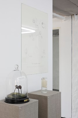 Image 15 of 50