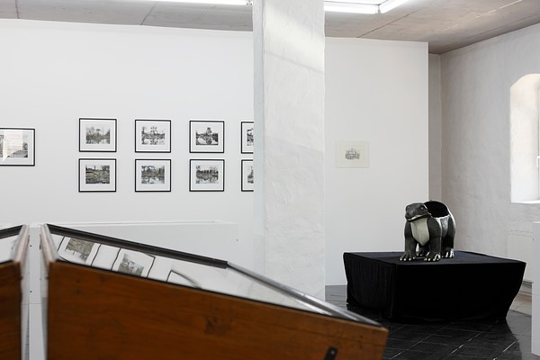Image 19 of 50