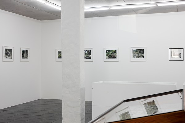 Image 20 of 50