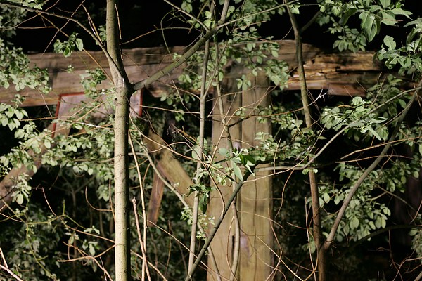 Image 4 of 19
