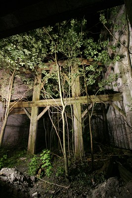 Image 5 of 19