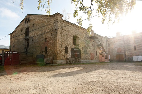 Image 7 of 19