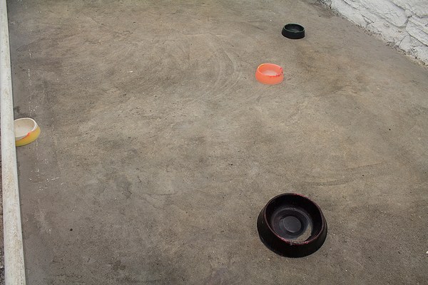 Image 3 of 15