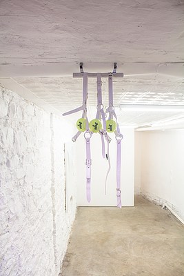Image 4 of 14