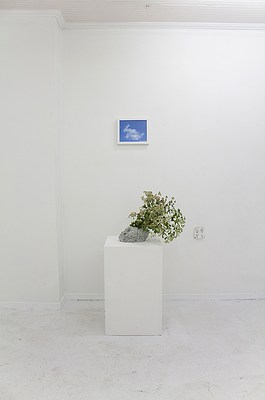 Image 4 of 13