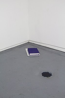 Image 7 of 25