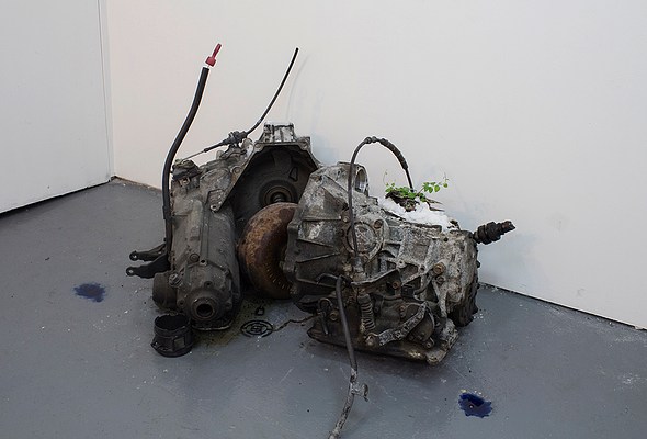 Image 10 of 25
