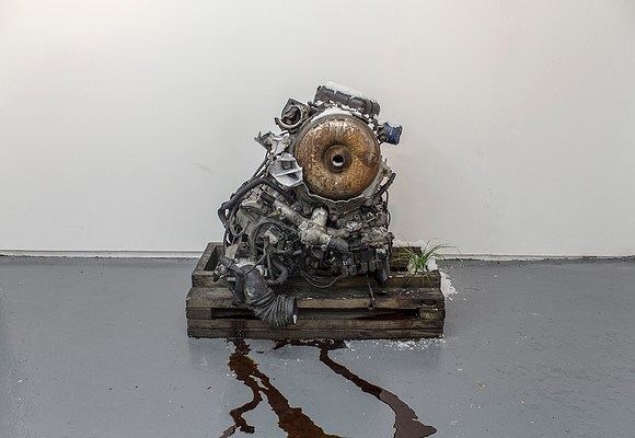 Image 11 of 25
