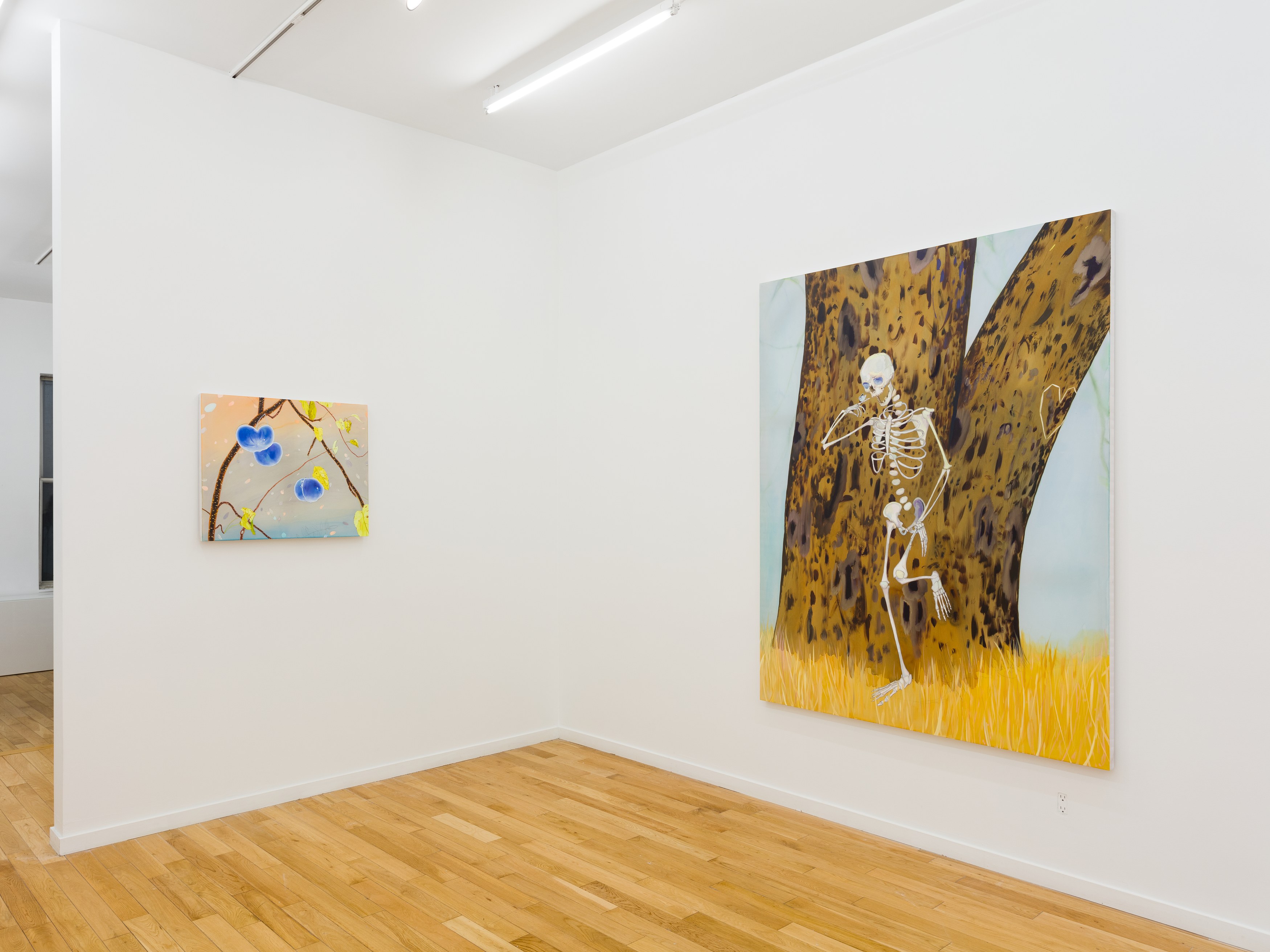 Installation view 5