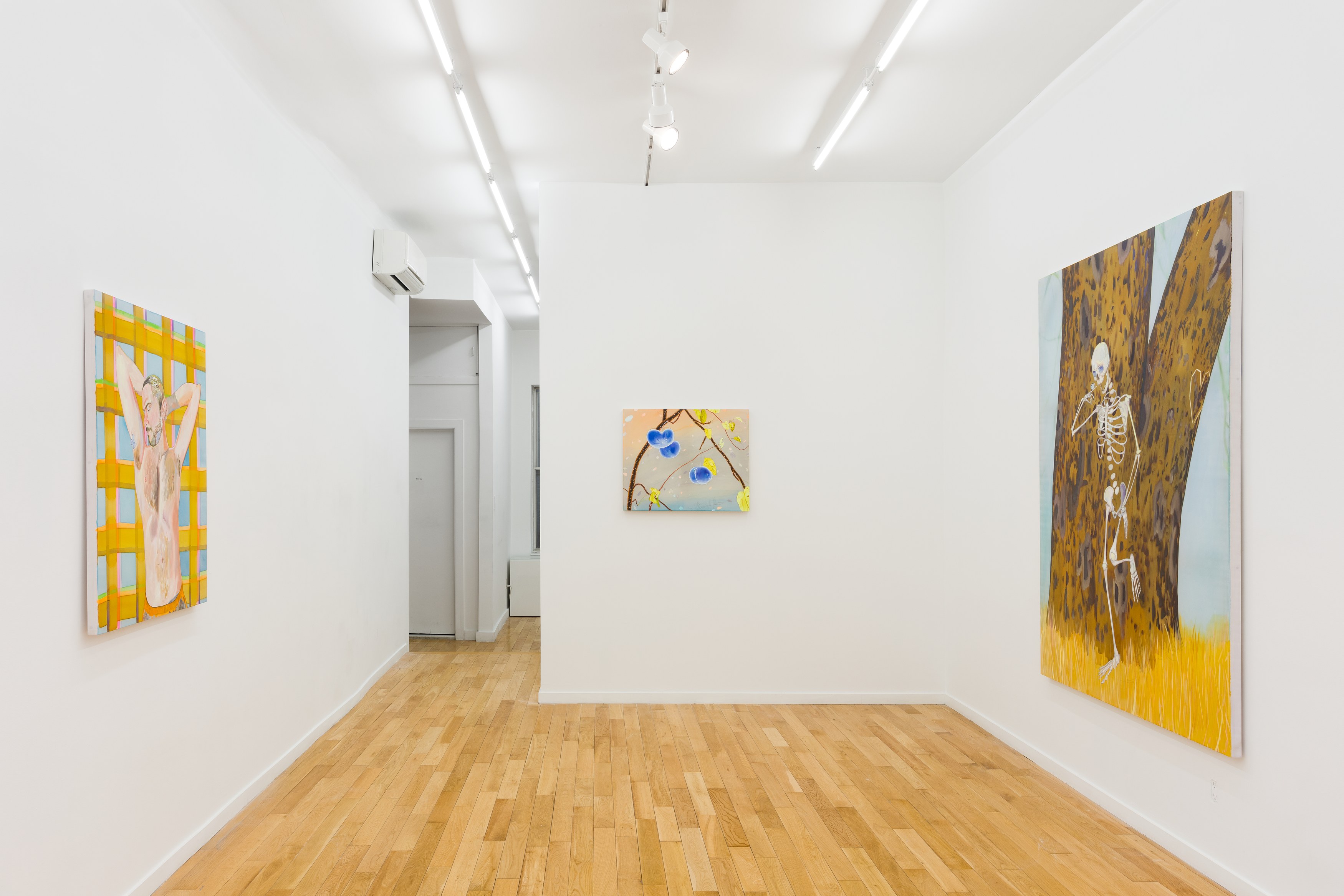 Installation view 6