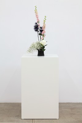 Image 14 of 22
