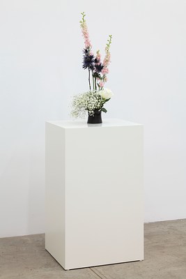 Image 15 of 22