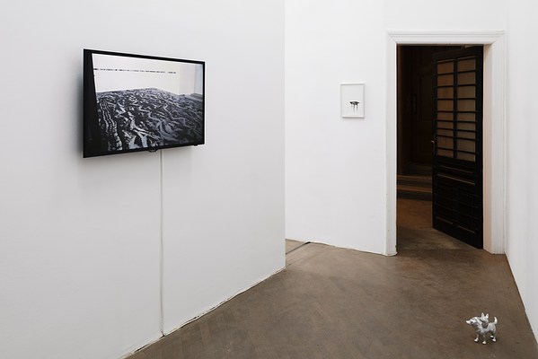 Image 2 of 19