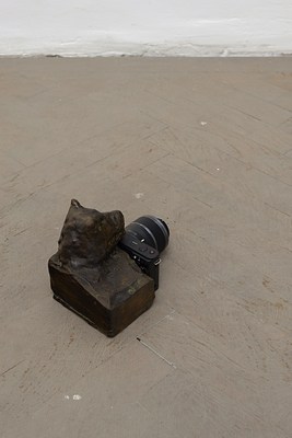 Image 11 of 19