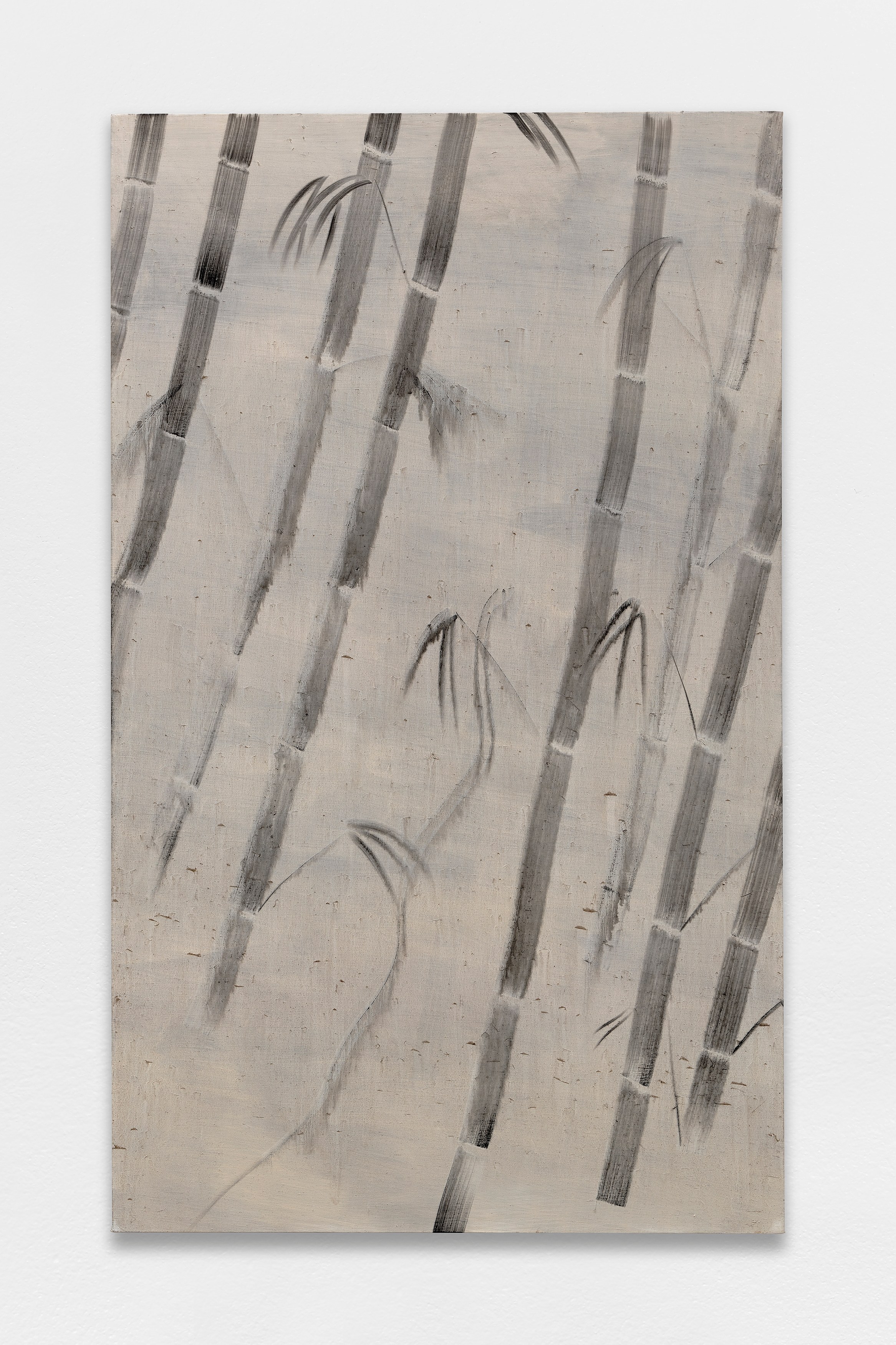 Yu Nishimura, Scene of beholder at Tragic Venus, CELESTE | data center Marilyn, Champs-sur-Marne, photo 19