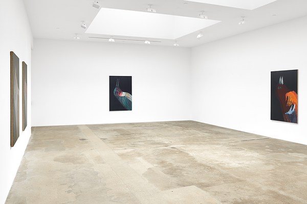 Image 2 of 24