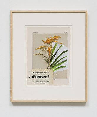 Image 11 of 18