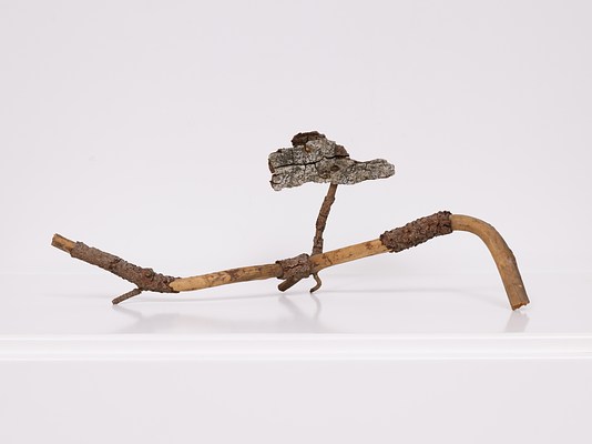 Image 10 of 31