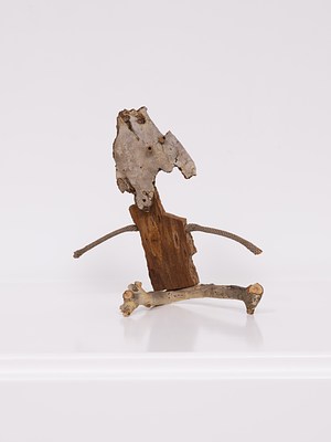 Image 8 of 31