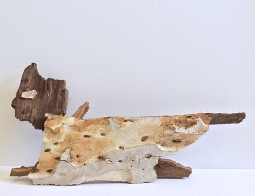 Image 11 of 31