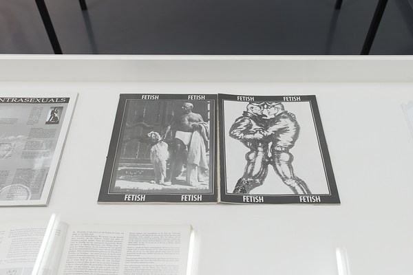 Image 12 of 24
