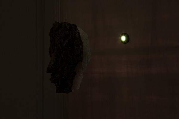 Image 6 of 19