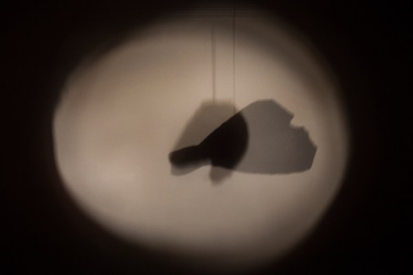 Image 11 of 19