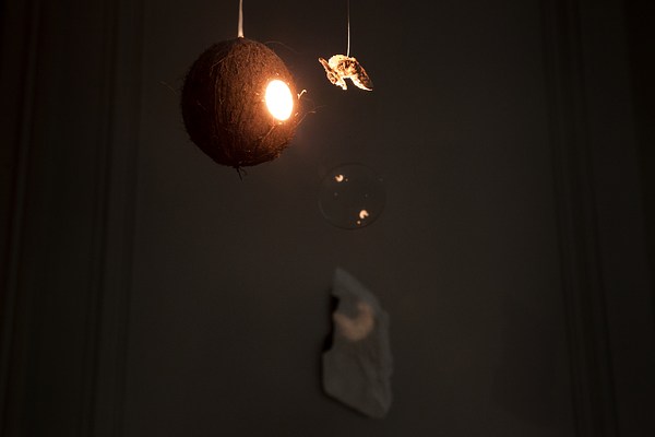 Image 16 of 19