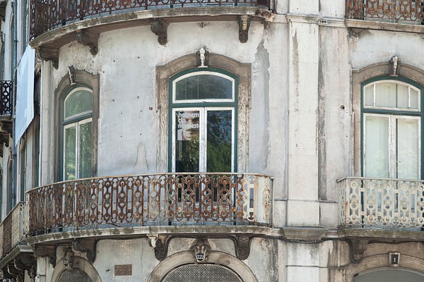 Image 12 of 12
