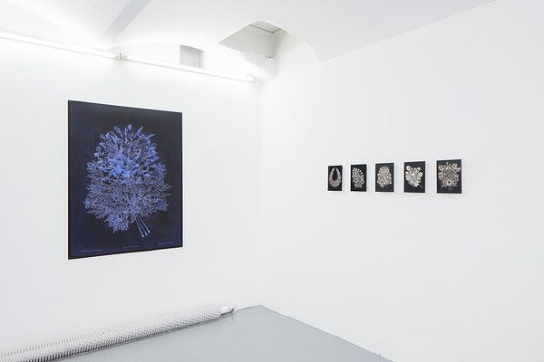 Image 10 of 19