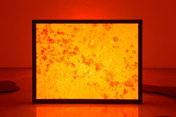 Image 4 of 19