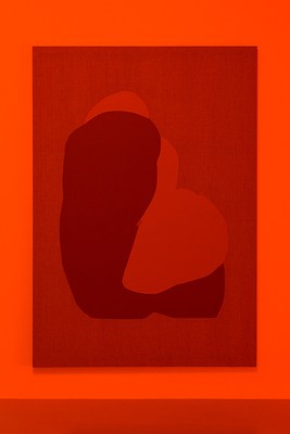 Image 7 of 19