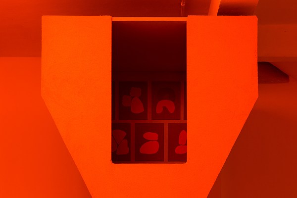 Image 10 of 19