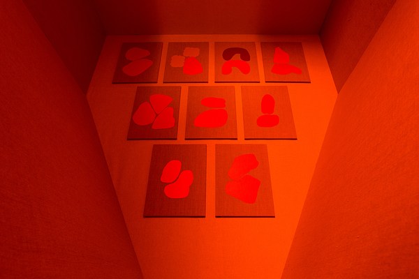 Image 15 of 19