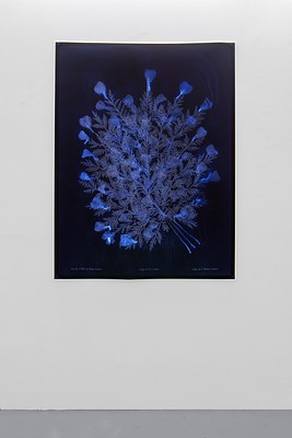 Image 14 of 19