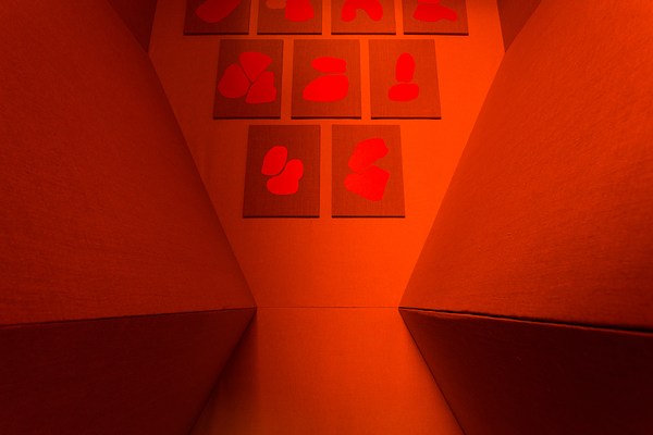 Image 16 of 19